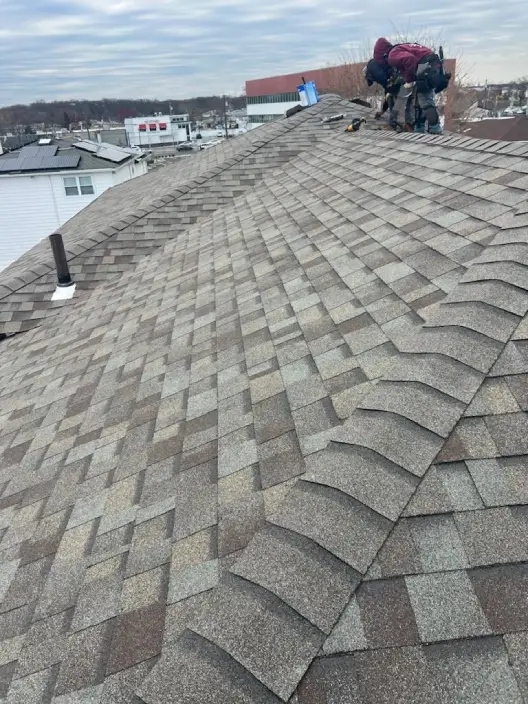 Professional Roofing Services